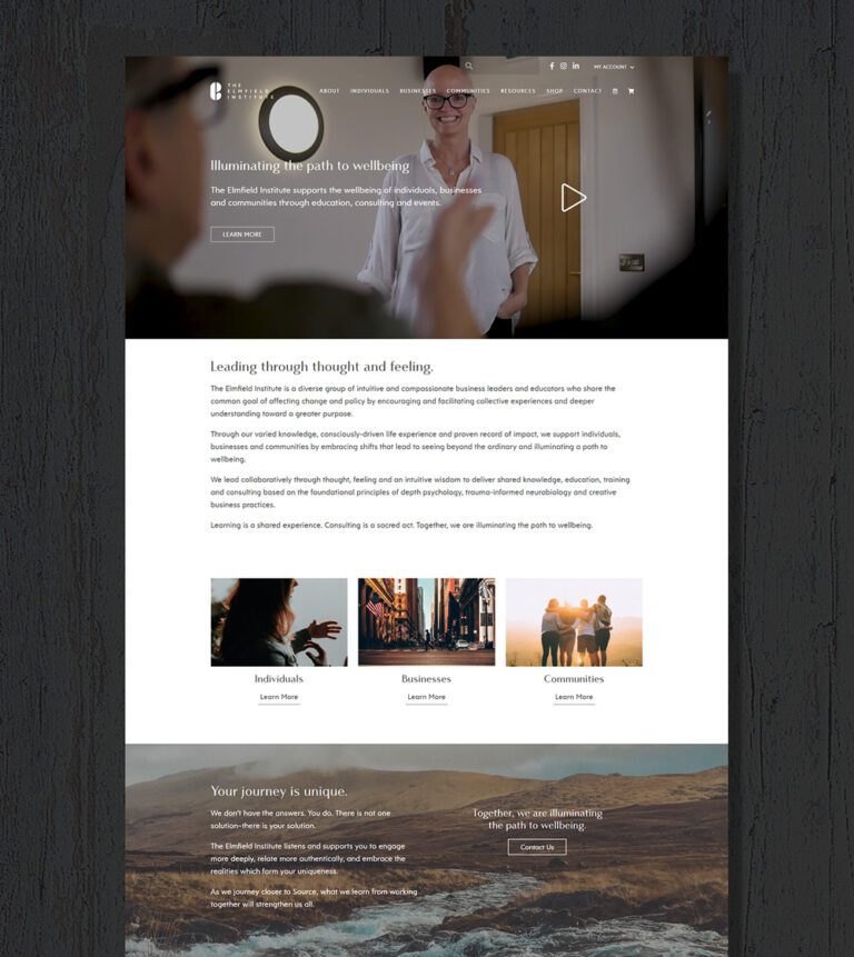 Elmfield Institute homepage design