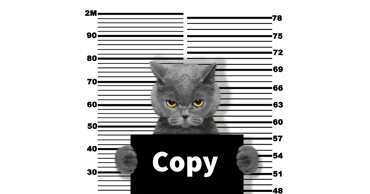 Gray cat with amber eyes holding black sign labeled "Copy" against height measurement chart backdrop